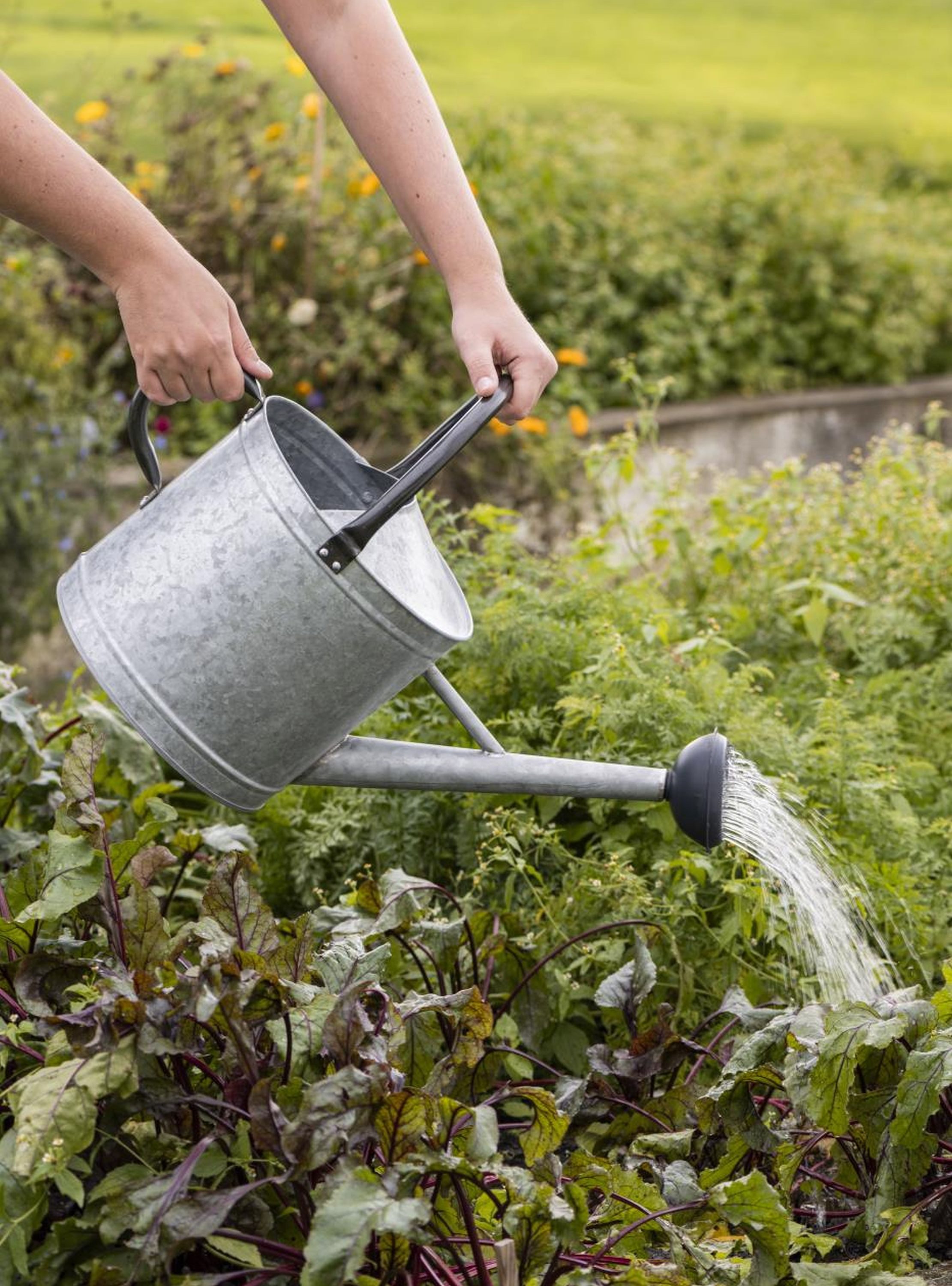 Ib Laursen Gießkanne Ib Laursen - Gießkanne Garten 9 Liter Metall Grau Schwarz Retro