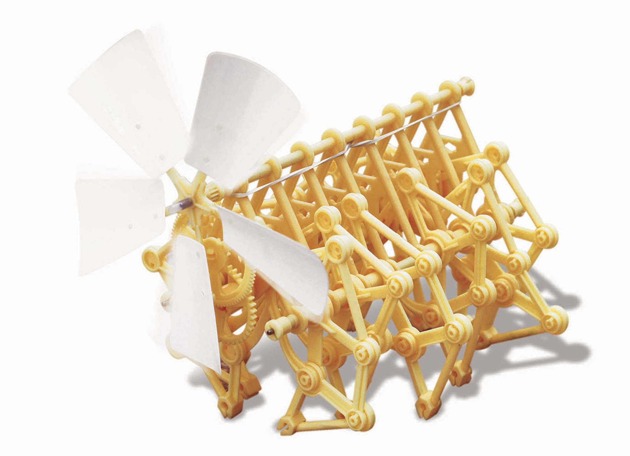 Edu-Toys Experimentierkasten GK021 Strandbeest, (1-tlg)