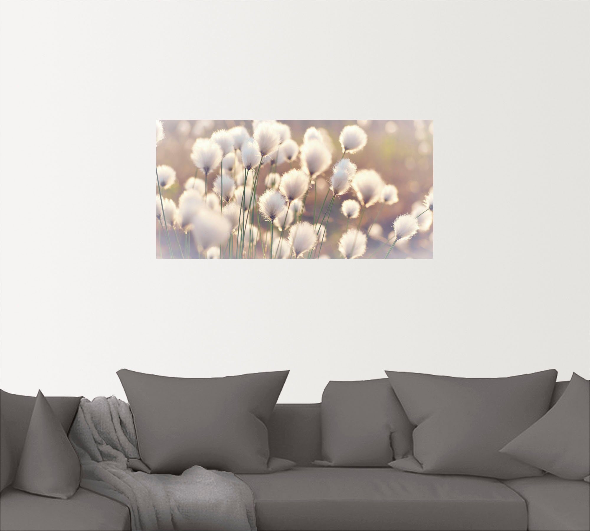 Artland Wandbild Wollgraszauber im Moor, Gräser günstig online kaufen