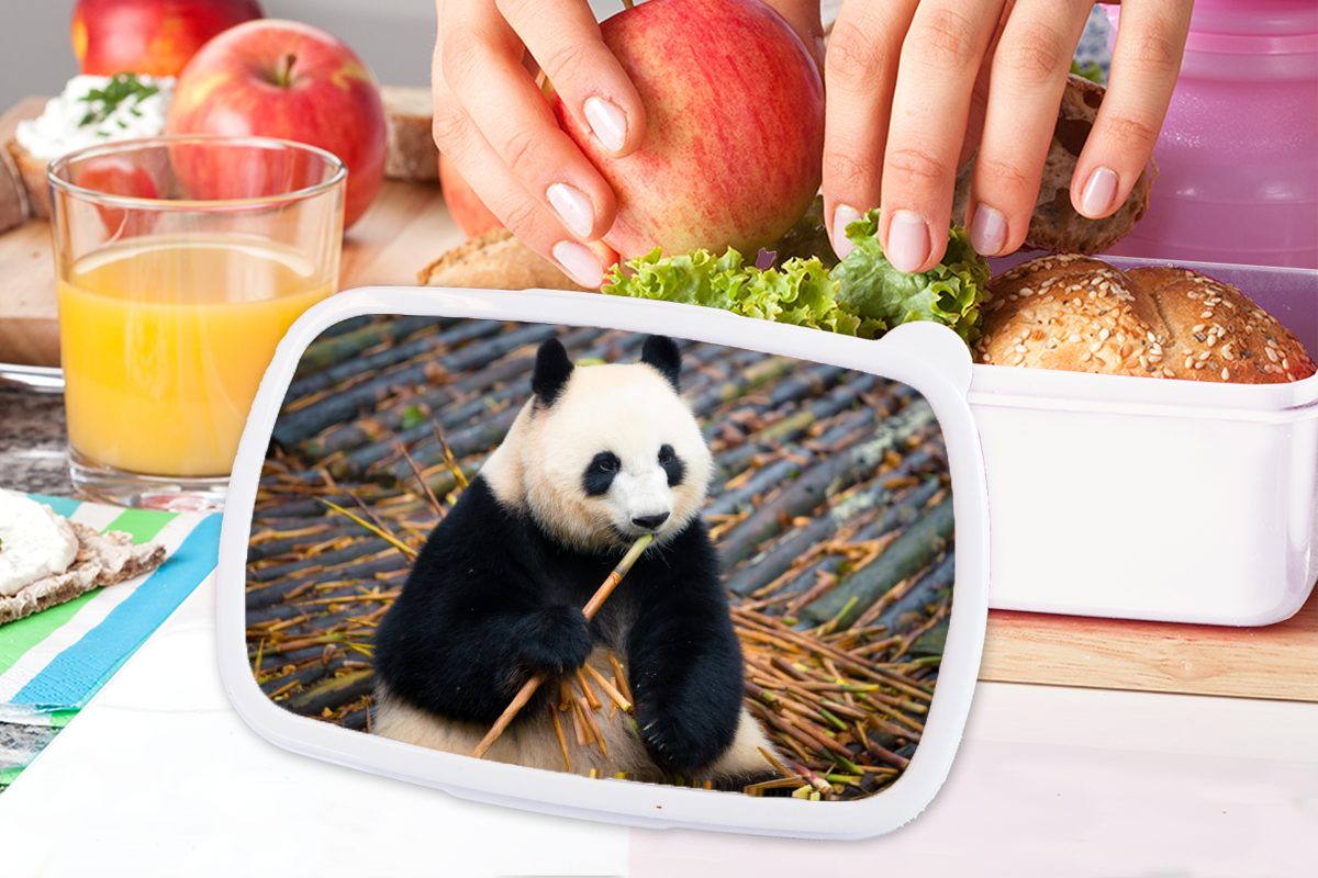 Erwachsene, für weiß - Jungs und Brotdose, Panda (2-tlg), Lunchbox für Bambus Blätter, Brotbox und - Mädchen MuchoWow Kinder Kunststoff,