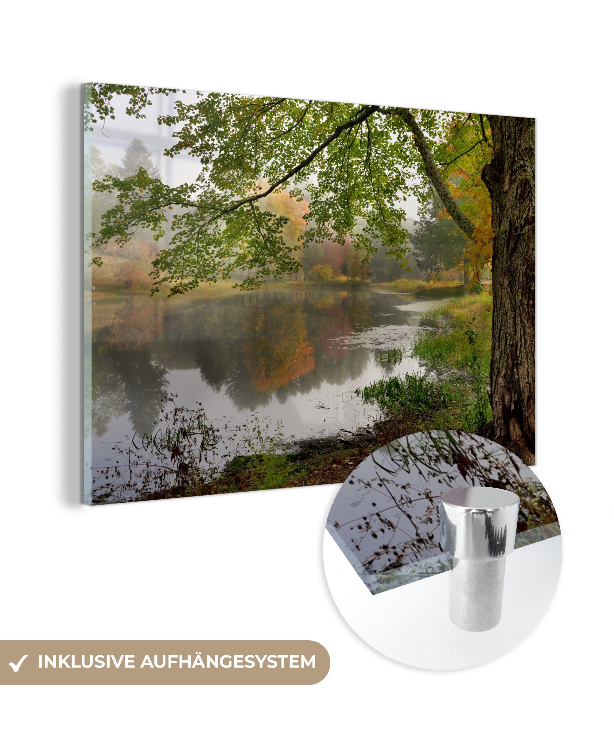 Acrylglasbilder & Schlafzimmer Wohnzimmer St), (1 Herbst, Acrylglasbild im Wald MuchoWow