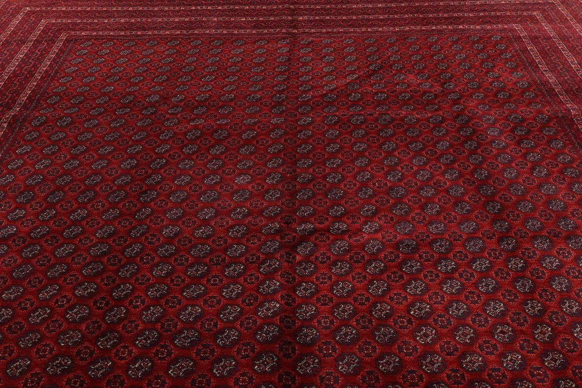 Orientteppich Afghan rechteckig, 6 mm Höhe: Handgeknüpfter 251x349 Trading, Orientteppich, Mauri Nain