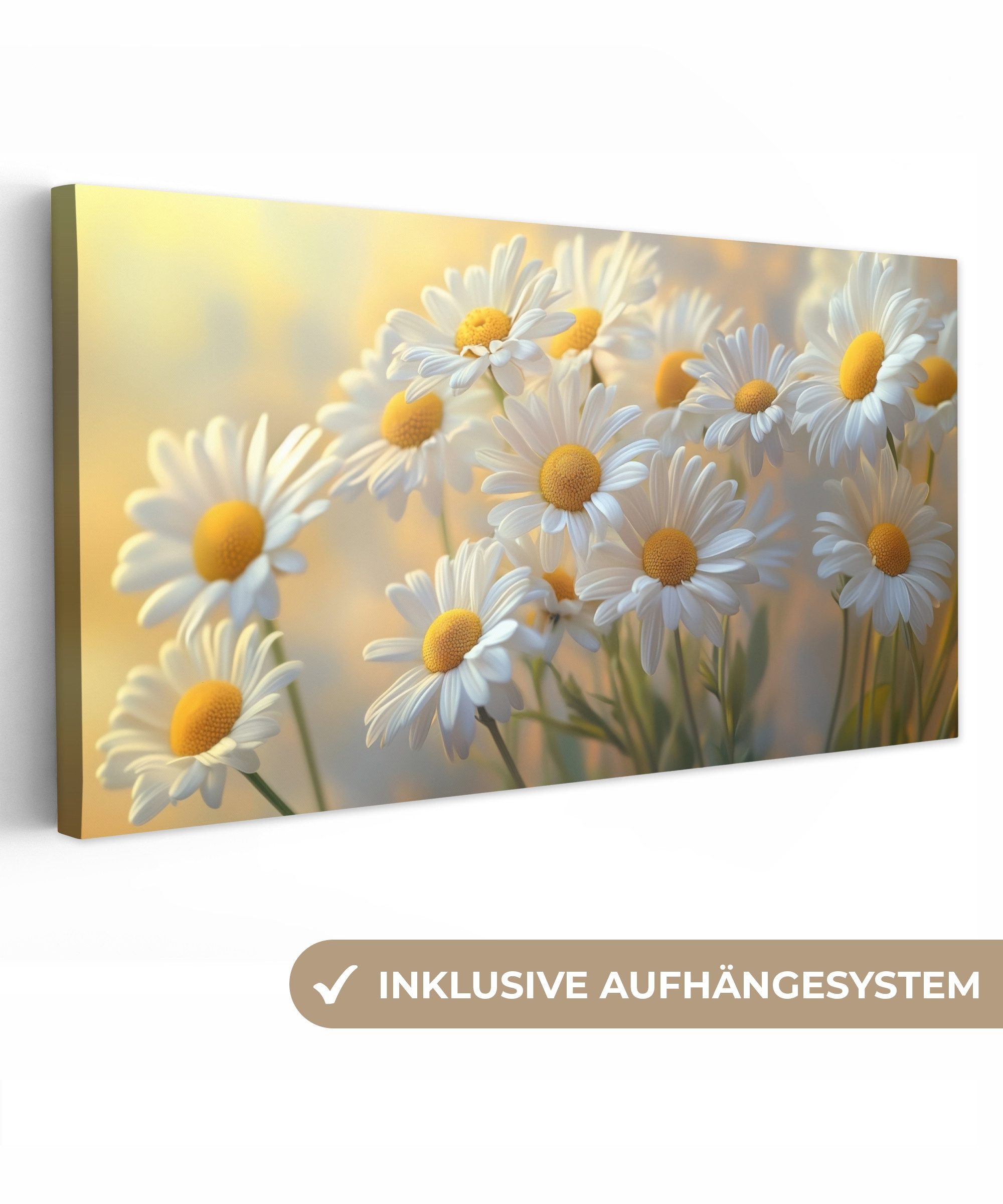 OneMillionCanvasses® Leinwandbild Panorama Gänseblümchen - Weiß günstig online kaufen