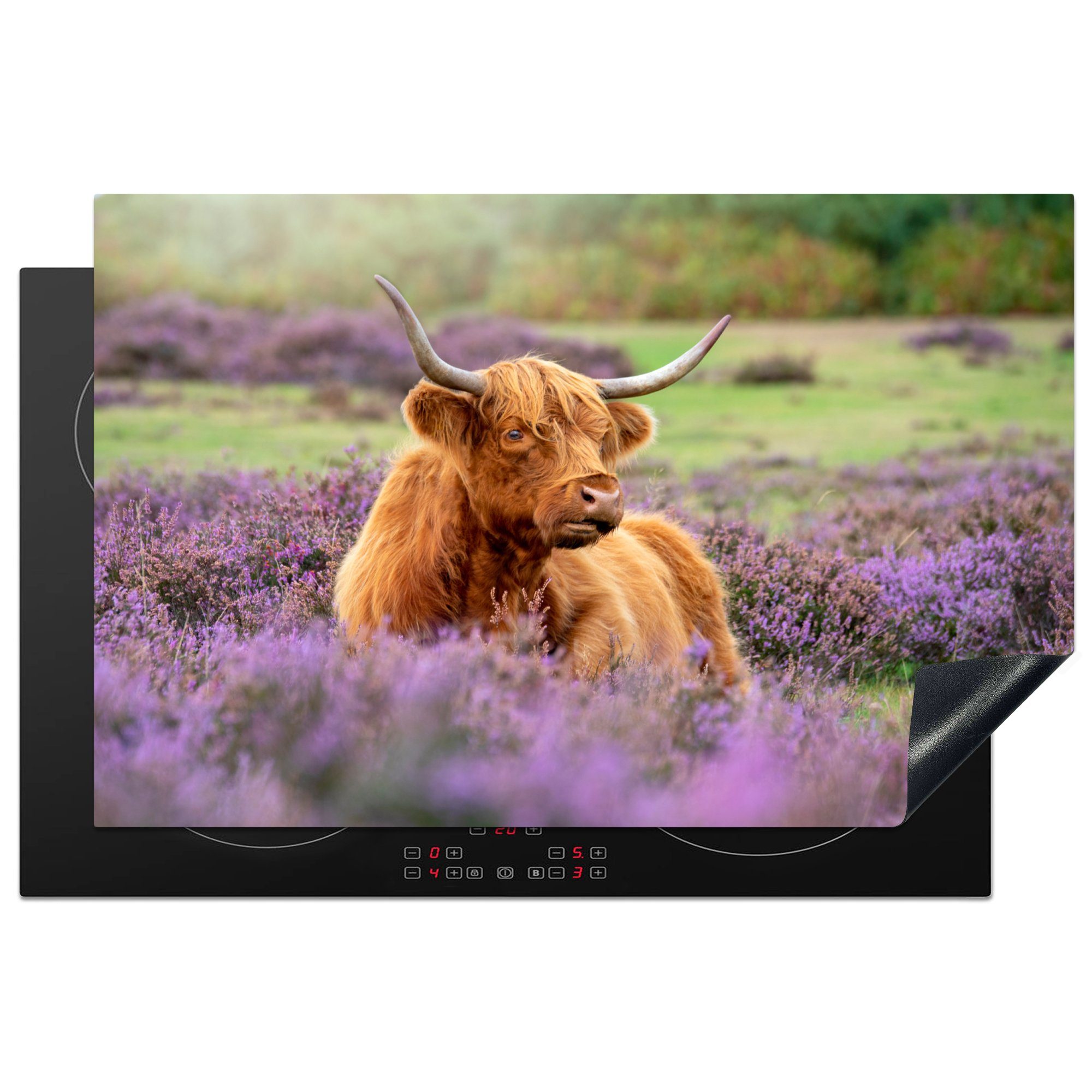 MuchoWow Herdblende-/Abdeckplatte Schottischer Highlander - Braun - Büsche, Vinyl, (1 tlg), 81x52 cm, Induktionskochfeld Schutz für die küche, Ceranfeldabdeckung