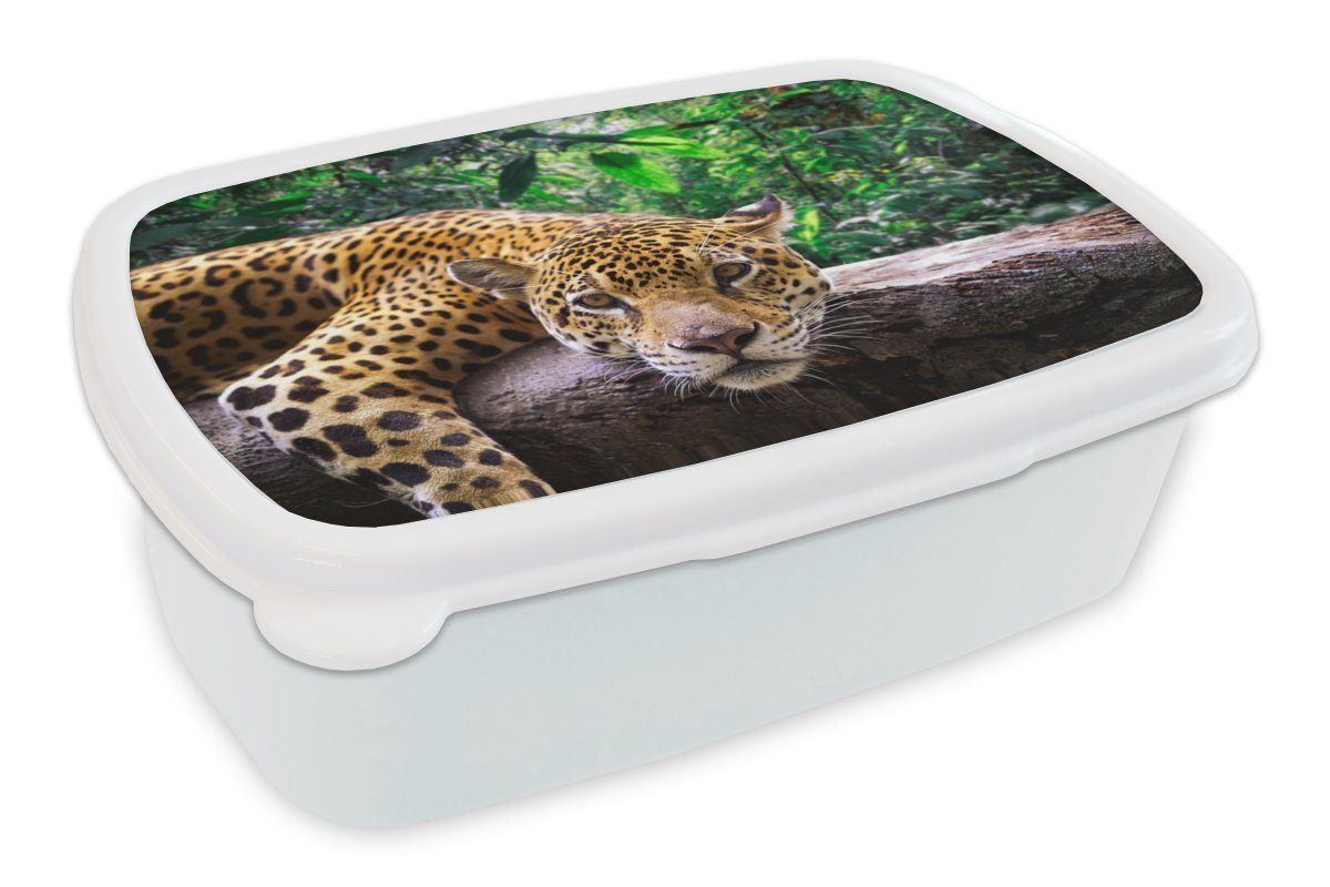 MuchoWow Lunchbox Jaguar ruht, Kunststoff, (2-tlg), Brotbox für Kinder und Erwachsene, Brotdose, für Jungs und Mädchen weiß