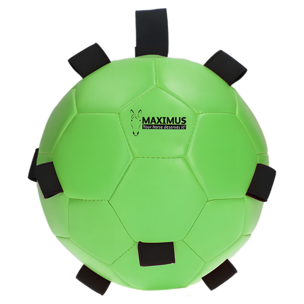Tierball Fun Play Ball mit Schlaufe grün