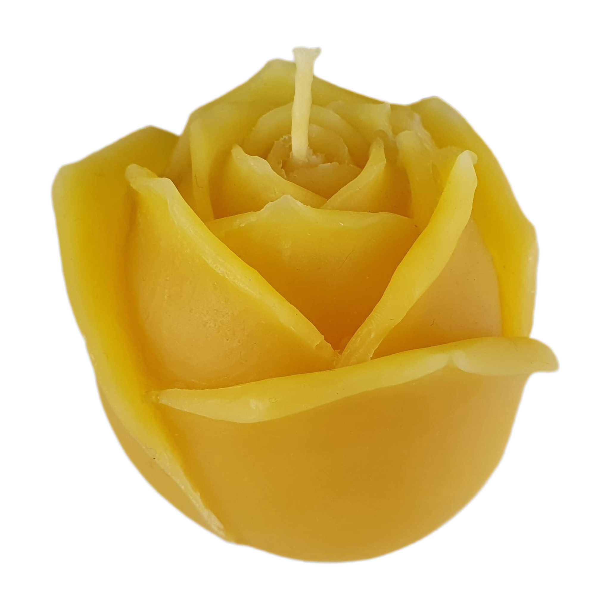 Aspinaworld Bienenwachskerze Rosenkerze halb geöffnet 6 cm natur – Einzelblüte (1-tlg)