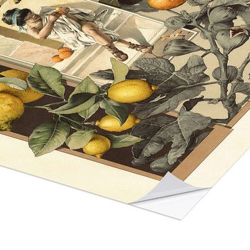 Posterlounge Wandfolie Anton Seder, Zitronen und Orangen, Wohnzimmer Vintage Malerei