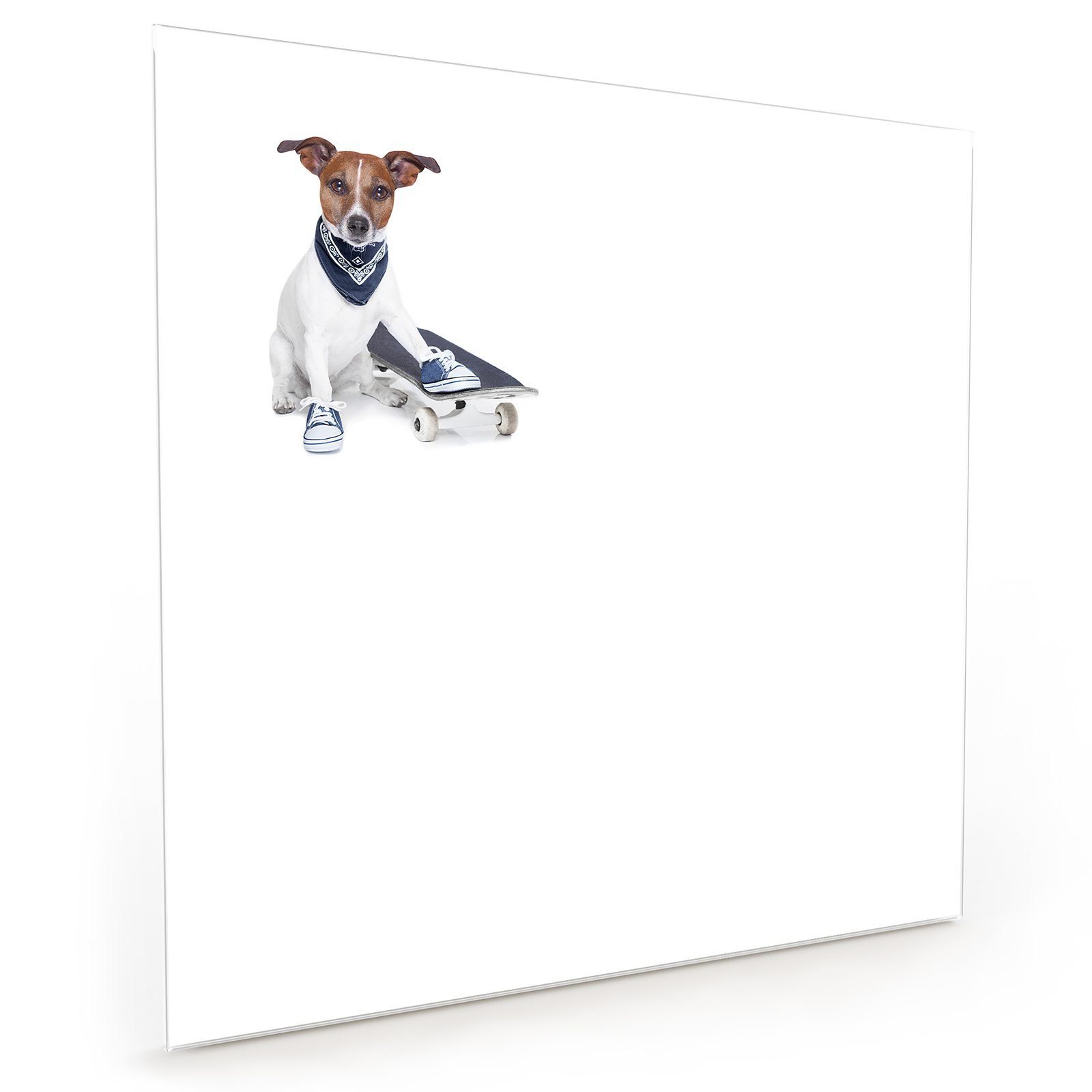 Motiv Küchenrückwand Primedeco Küchenrückwand Rollbrett mit Hund auf Glas Spritzschutz