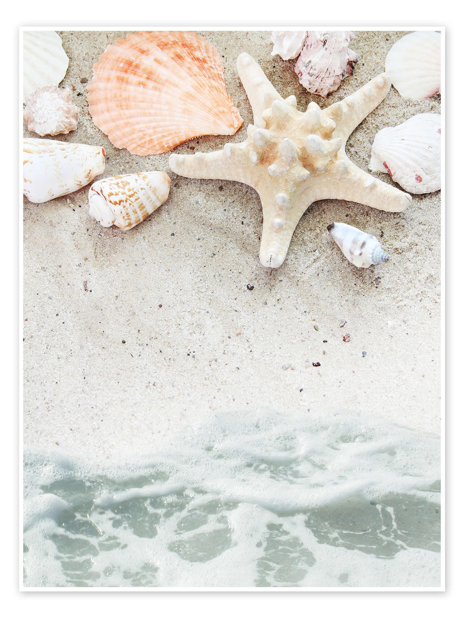 Poster Editors Choice