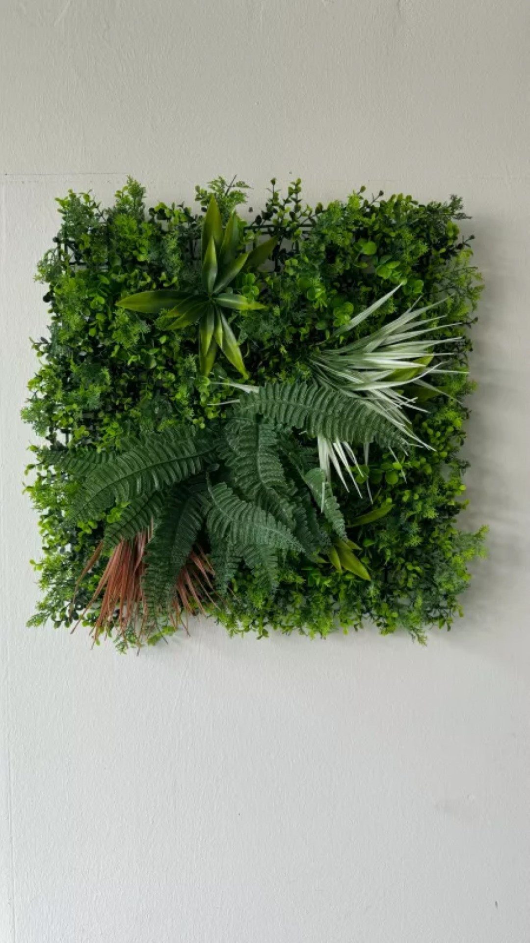 ASCountrystone Wandpaneel Wandgrün Kunsthecke, BxL: 50,00x50,00 cm, 0,25 qm, einfache Montage, ideal als elegantes Wanddesign, leichte Anbringung