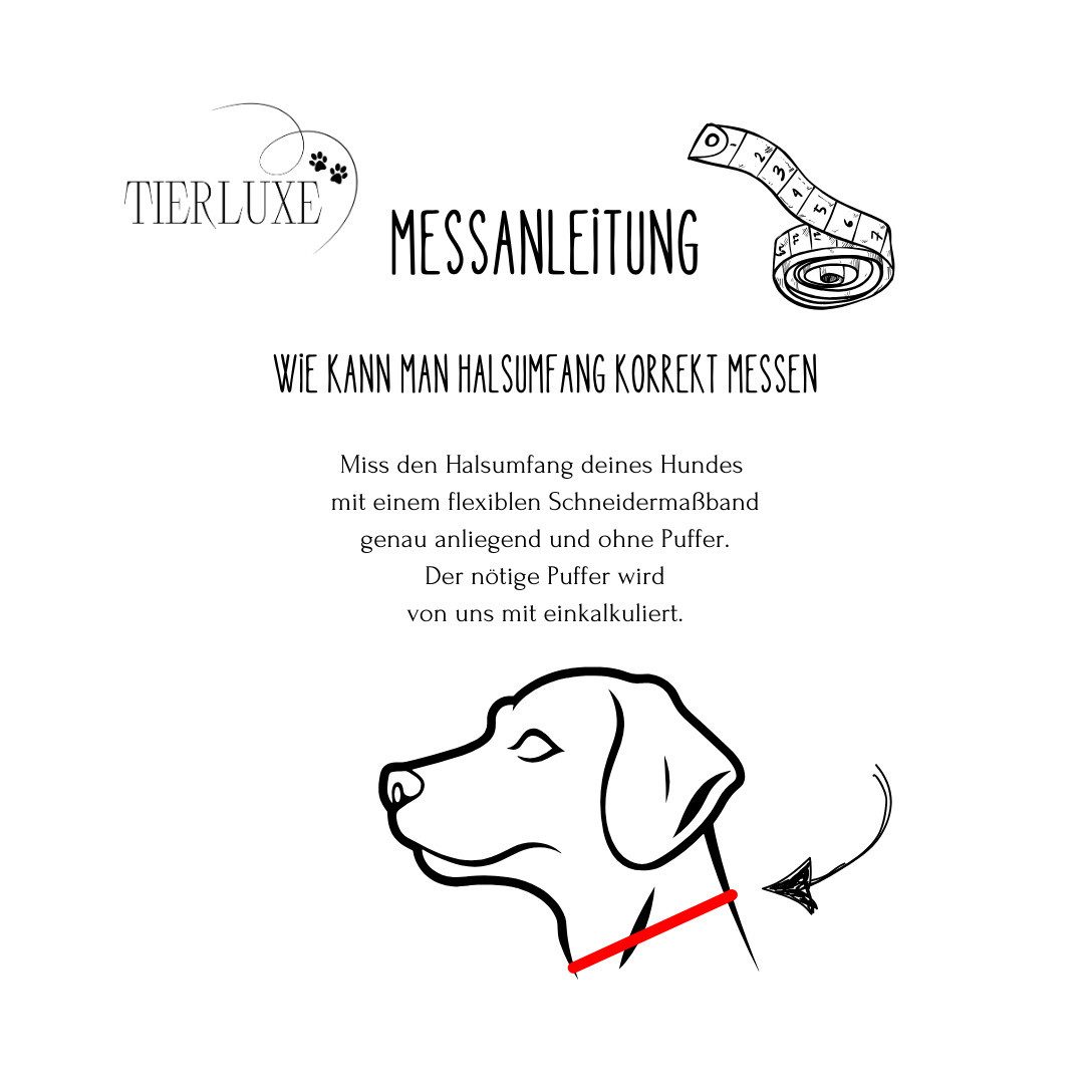 Tierluxe Hunde-Halsband Lori, Biothane Paracord, Handgemacht
