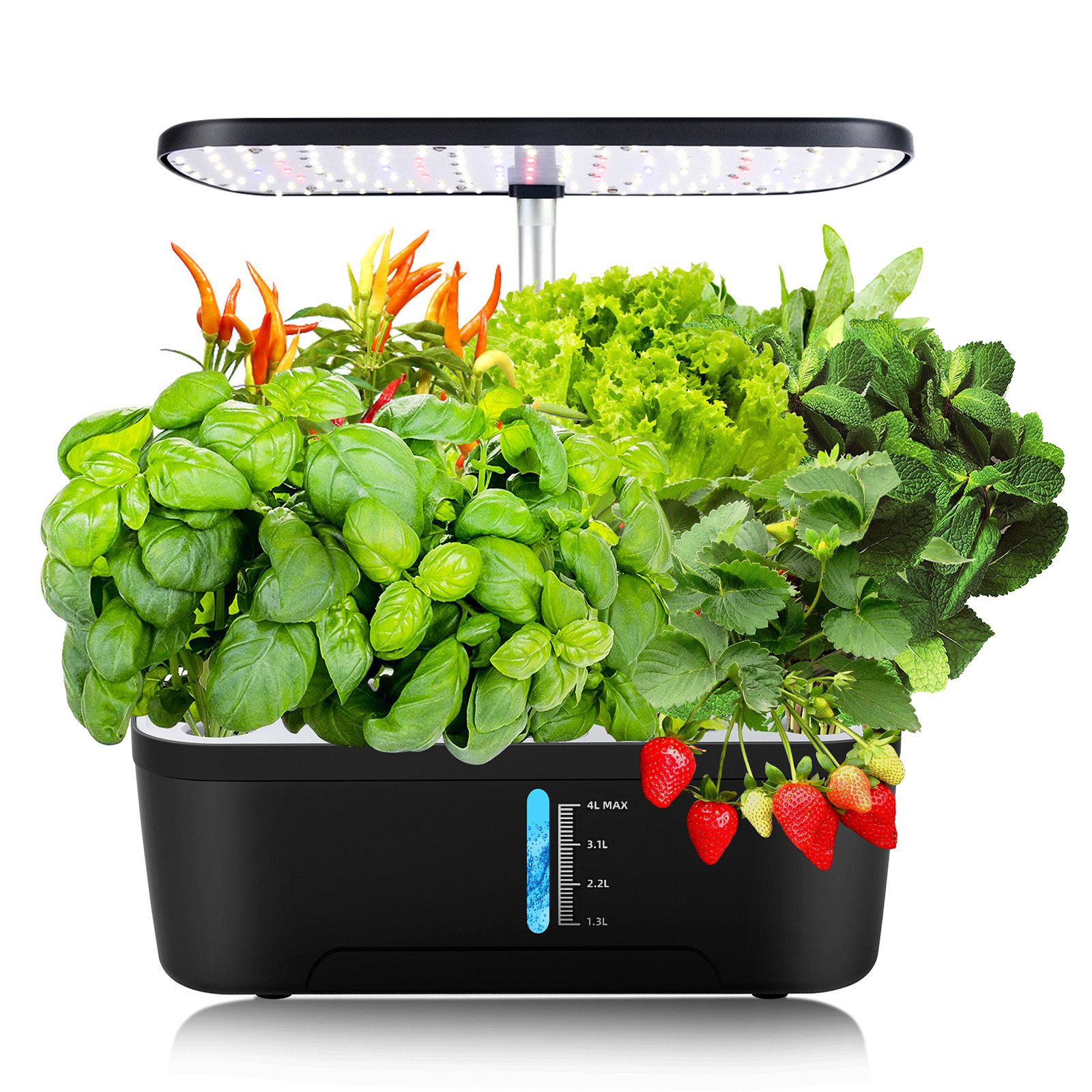 MUPOO Pflanzkübel Hydroponische Anzuchtsysteme,Indoor Garden Sprouting Kit günstig online kaufen