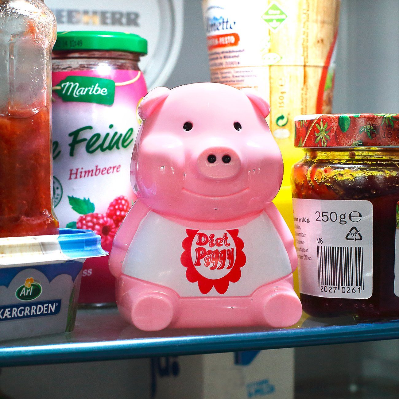 Caramel MEDIA Geburtstagskarte Das Kühlschrank Diätschwein