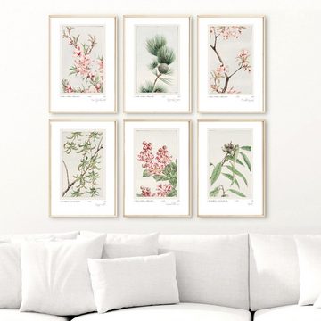 homestyle-accessoires Poster Bilder Wandbilder Kunstdrucke VINTAGE FLOWERS Prints 6er Set, Ohne Bilderrahmen
