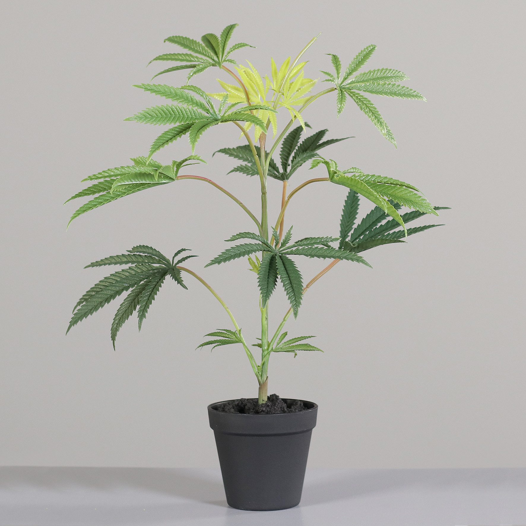 Kunstpflanze Künstliche Cannabis Pflanze im Topf, Grün, 55 cm Höhe, mucPlan günstig online kaufen