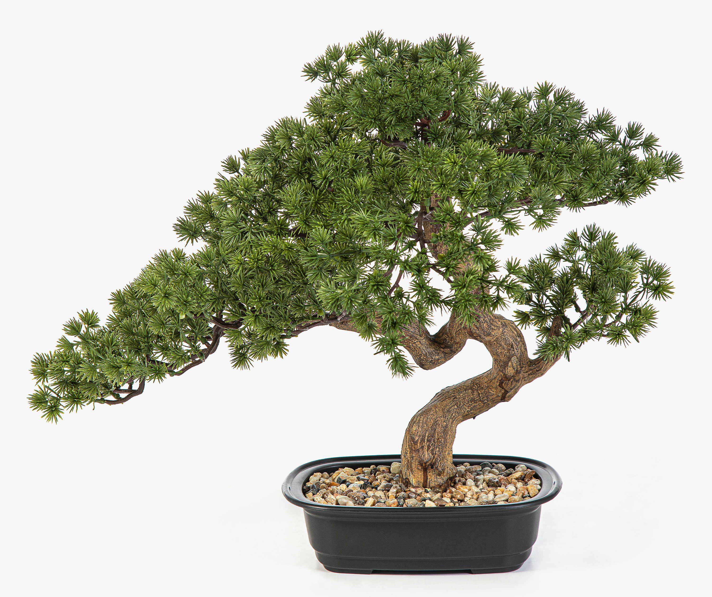 Kunstbonsai Künstlicher Bonsai Kanya in Pflanzschale, 45cm Pinie, artplants