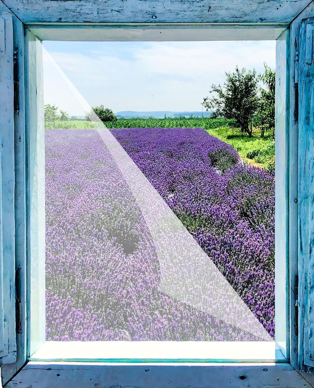 VABIONO Pollenschutzgitter 3x Pollenschutzvlies Insektenschutz für Fenster 130x150cm zuschneidbar, (3er Packung inkl. 2x Klettband, Pollenschutz für Allergiker - sorgt für frische Raumluft), kostenloser Versand