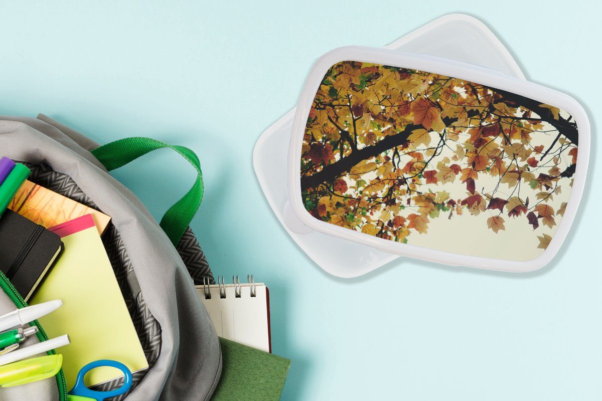 - Natur, - Erwachsene, (2-tlg), für und Herbstblätter MuchoWow Kinder Brotdose, Bäume Jungs und Kunststoff, für weiß Mädchen Brotbox Lunchbox
