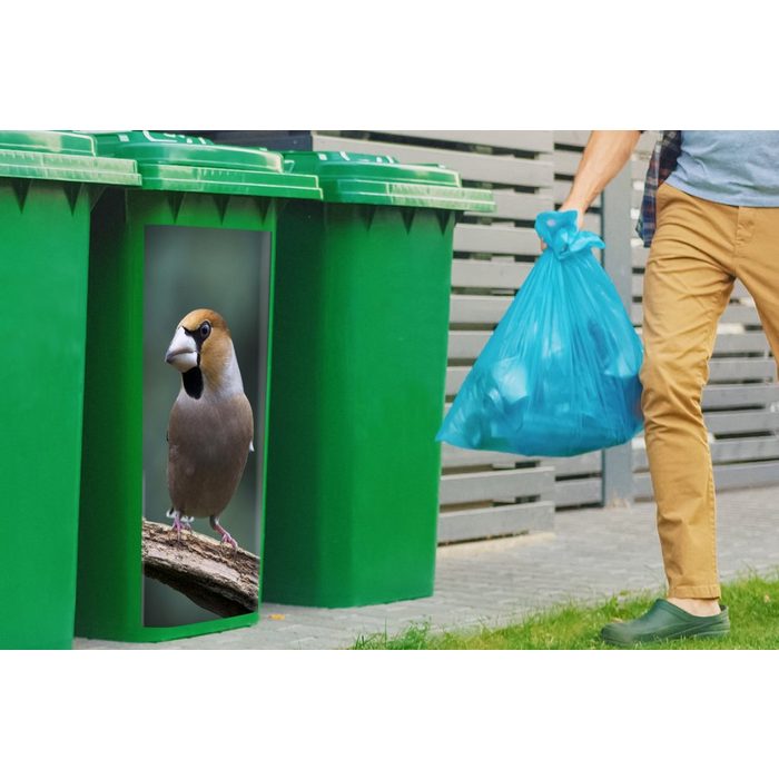 MuchoWow Wandsticker Ein Apfelfink schaut nach rechts in Europa Deutschland (1 St) Mülleimer-aufkleber Mülltonne Sticker Container Abfalbehälter