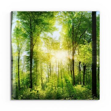 DEQORI Glasbild 'Sonne durchbricht Wald', 'Sonne durchbricht Wald', Glas Wandbild Bild schwebend modern