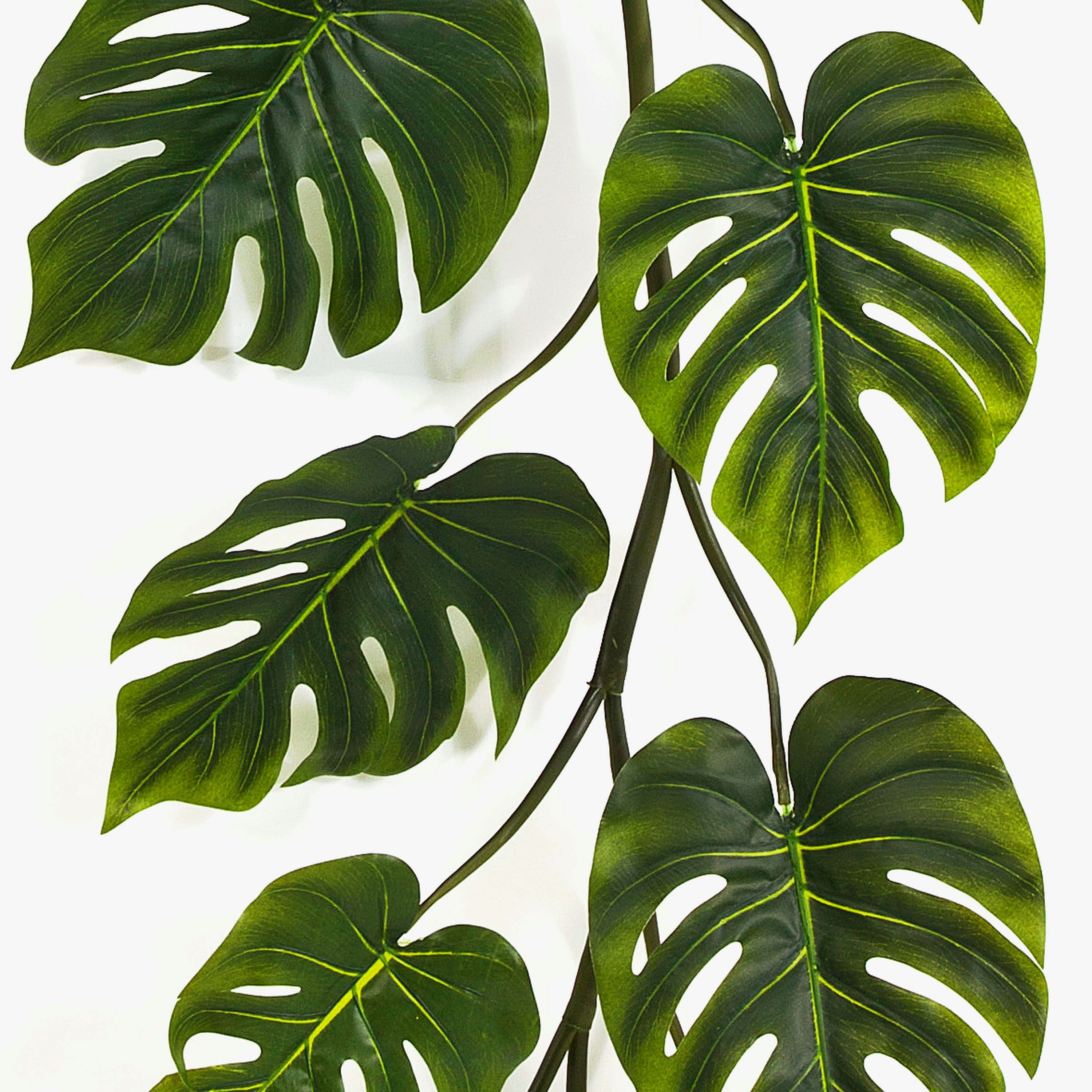 Kunstranke Kunst Philodendrongirlande Analicia, grün, 15 Blätter, 230cm Philodendron (Philodendron monstera deliciosa), artplants, Höhe 230.0 cm