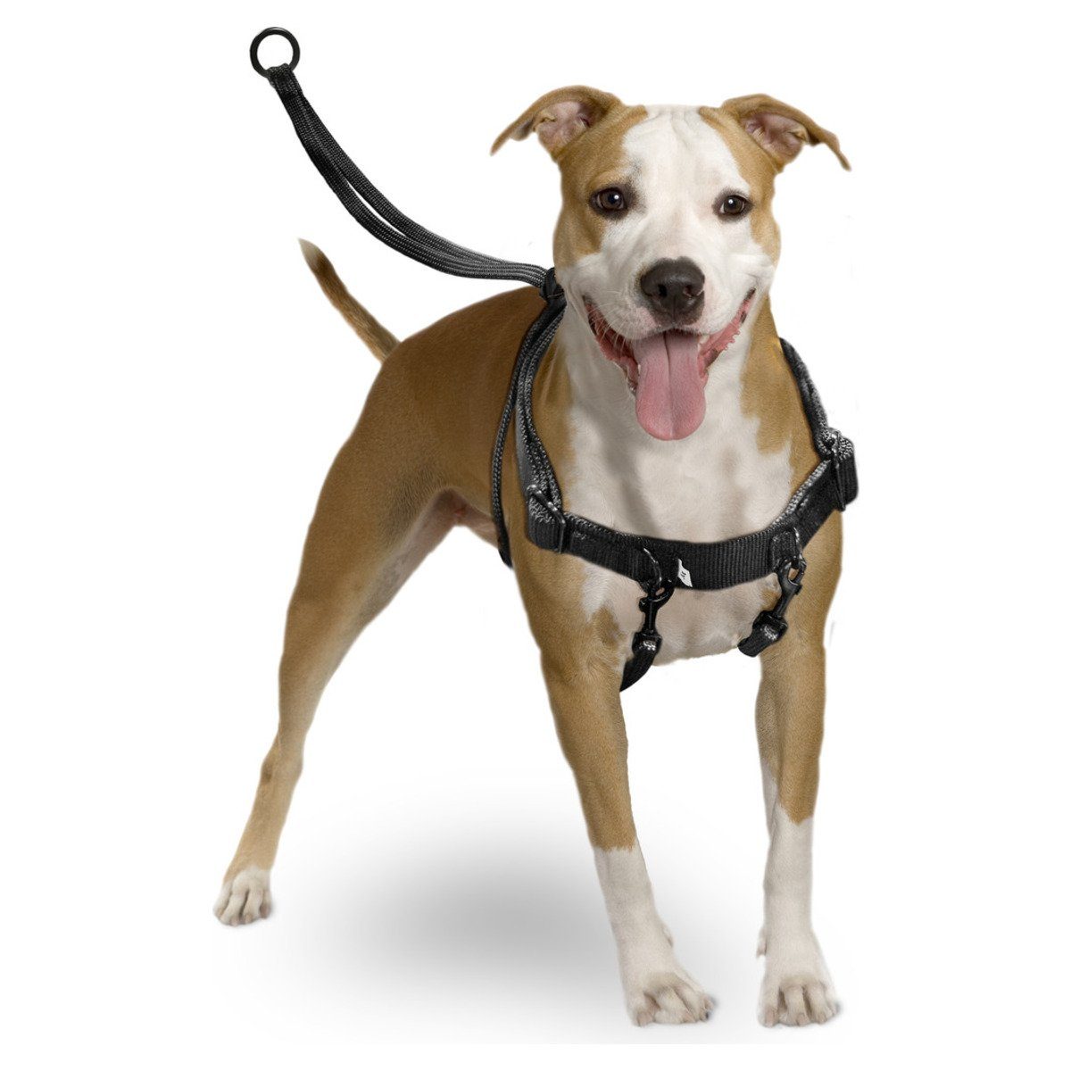 Karlie Hunde-Erziehungsgeschirr Easy Walker günstig online kaufen
