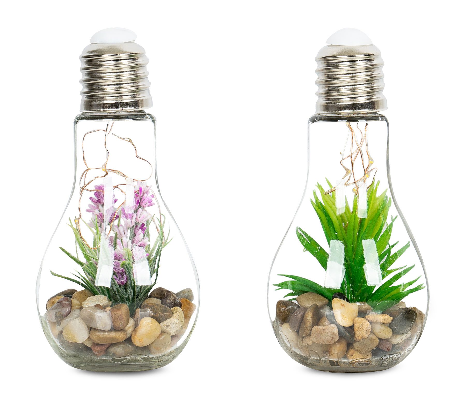 Levandeo® LED Dekoobjekt, 2er Set Sukkulenten Glühbirne Im Glas B x H: 8 x 19 cm LED Warmweiß. € 17,99