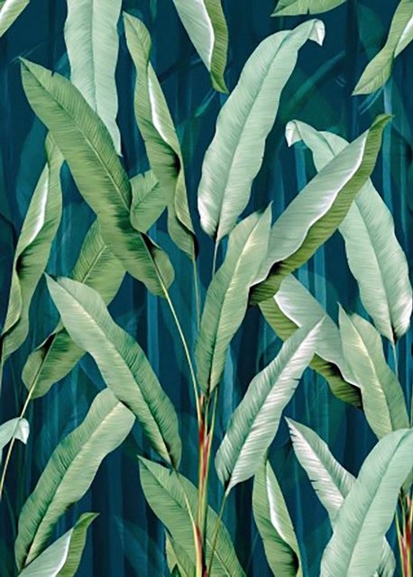 Art for the home Fototapete »Blätter«, botanisch, (1 St), Blau/Grün - 280cmx200cm-Otto