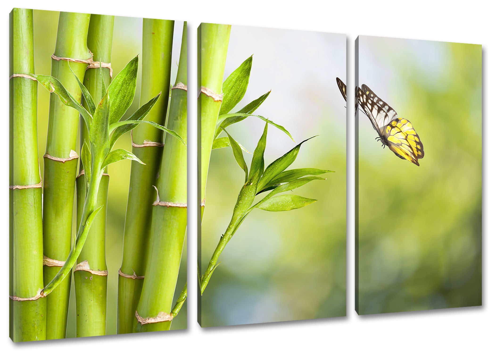 Bambus inkl. St), 3Teiler fertig Schmetterling mit Leinwandbild Bambus Leinwandbild (1 bespannt, Zackenaufhänger Schmetterling, (120x80cm) Pixxprint mit