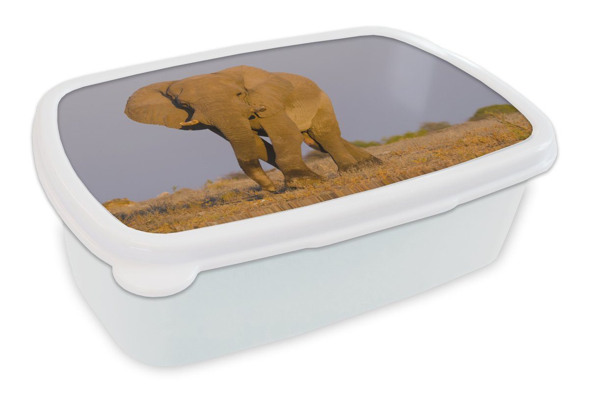 MuchoWow Lunchbox Afrikanischer Elefant im Sand, Kunststoff, (2-tlg), Brotbox für Kinder und Erwachsene, Brotdose, für Jungs und Mädchen weiß