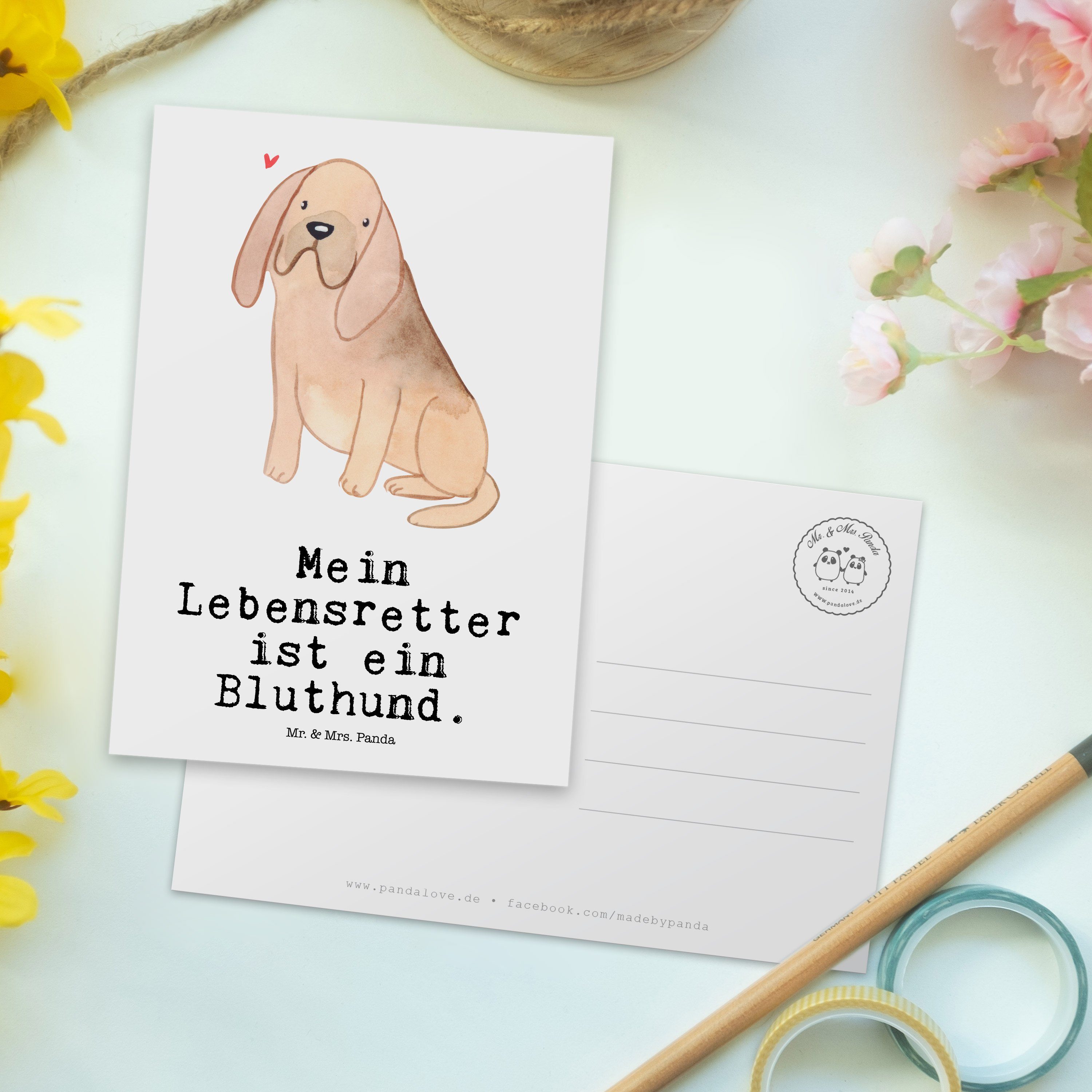 Mrs. Chien Bloodhound Geschenk, Panda Postkarte Saint Lebensretter Hubert, Dan - & de Mr. Weiß -