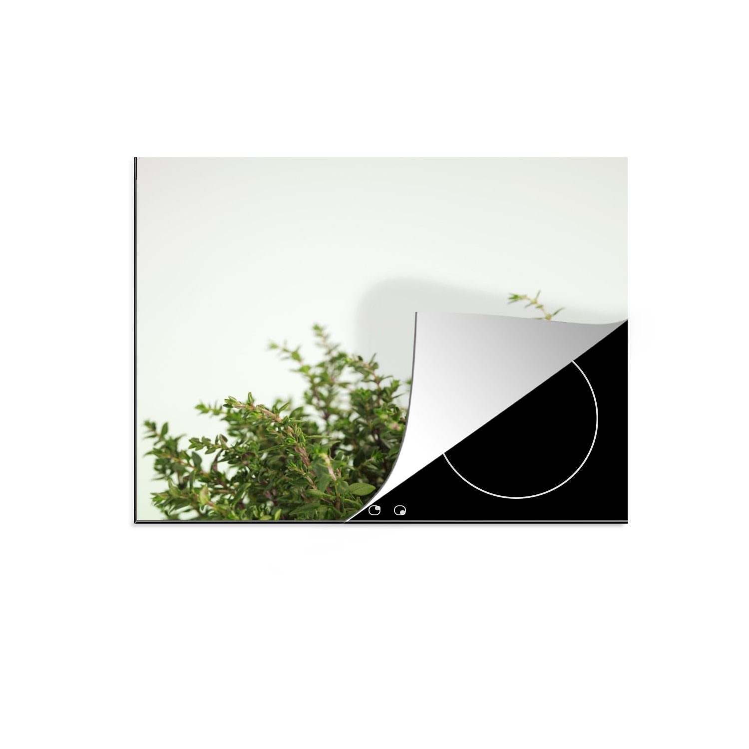 MuchoWow Herdblende-/Abdeckplatte Nahaufnahme des aromatischen Thymians vor einem schönen grauen Himmel, Vinyl, (1 tlg), Induktionsschutz - Herdabdeckung Matte von Hitzebeständiges Vinyl, das perfekte, rollbare Material für jedes Kochfeld - vergrößert die Arbeitsfläche - Küchen Dekoration - Induktionsherd Abdeckung Induktionskochfeld