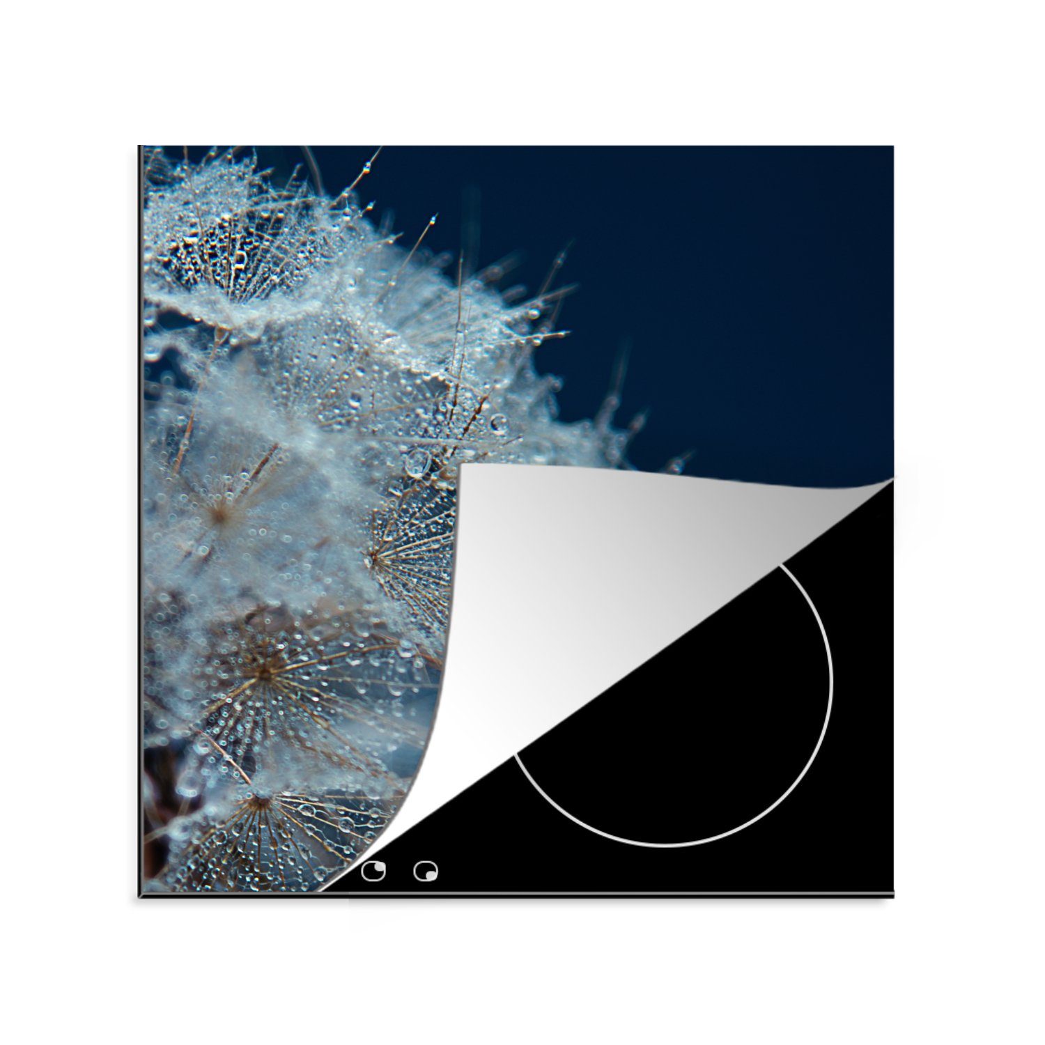 MuchoWow Herdblende-/Abdeckplatte Blumen - Frühling - Saatgut, Vinyl, (1 tlg), 78x78 cm, Ceranfeldabdeckung, Arbeitsplatte für küche | Herdabdeckplatten