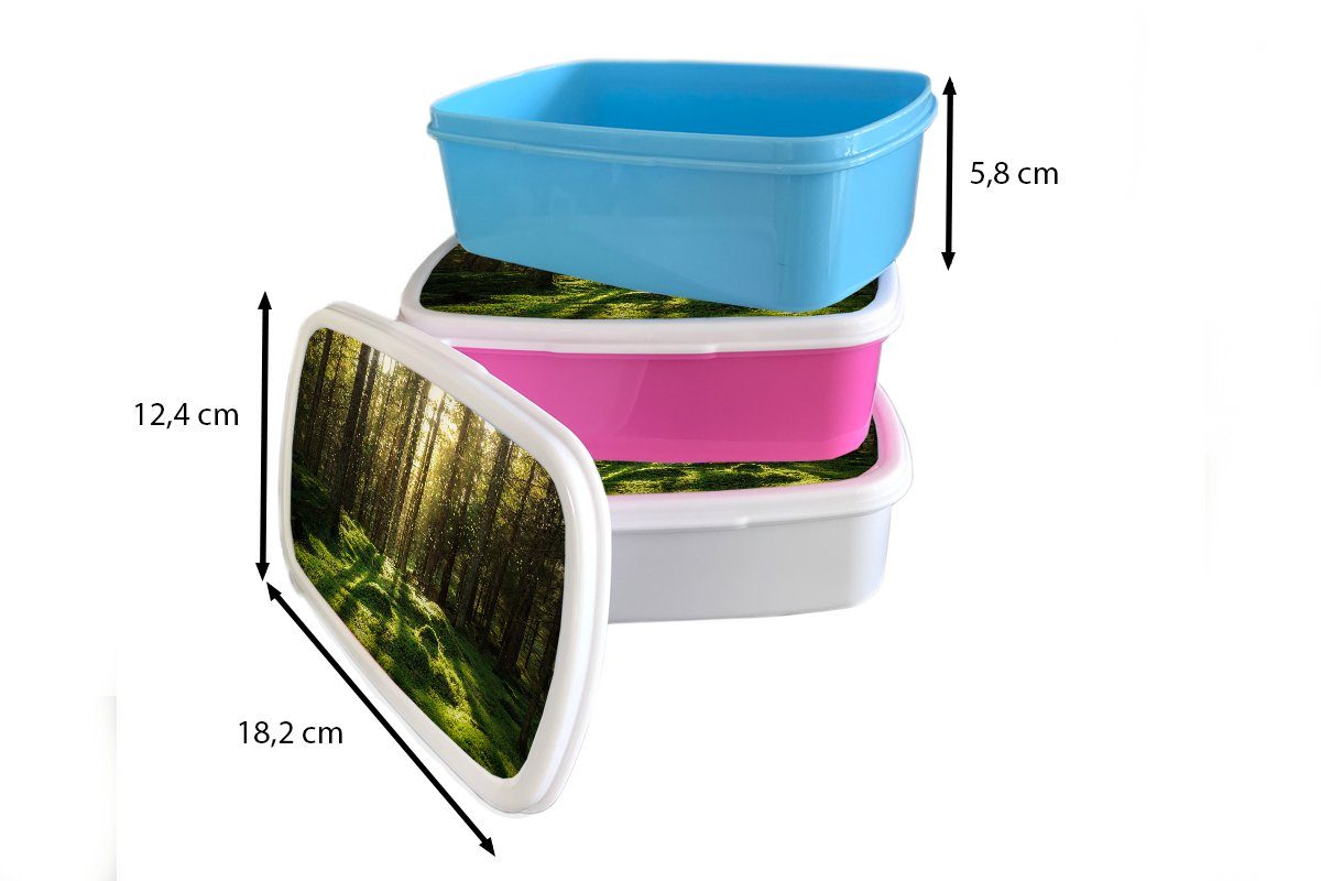 Pflanzen Kunststoff (2-tlg), Brotbox - Snackbox, - - Mädchen, Kunststoff, für MuchoWow - - Wald Kinder, Bäume rosa Brotdose Natur, Sonne Lunchbox Moos Erwachsene,