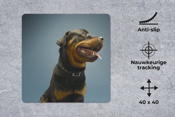 MuchoWow Gaming Mauspad Studiofoto eines Rottweilers auf blauem Hintergrund (1-St), Mousepad mit Rutschfester Unterseite, Gaming, 40x40 cm, XXL, Großes