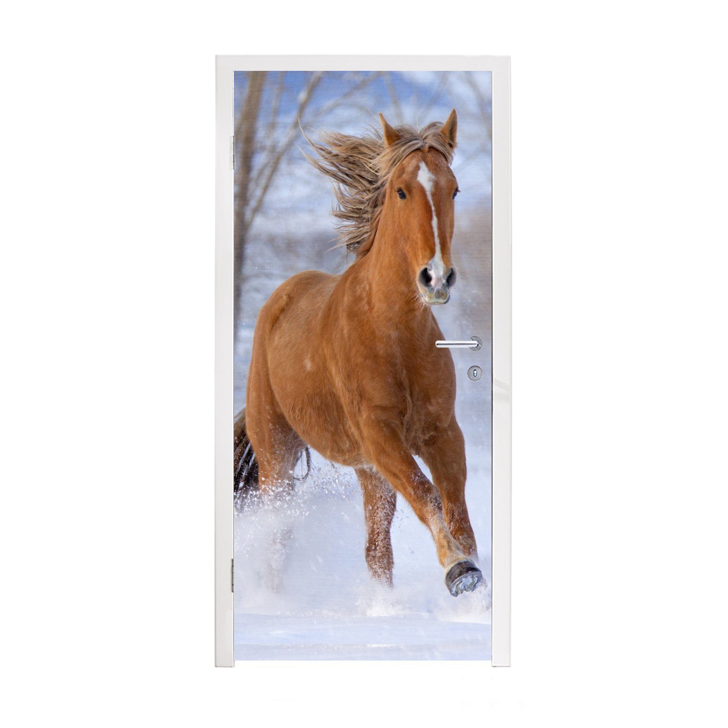 MuchoWow Türtapete Pferd - Schnee - Braun, Matt, bedruckt, (1 St), Fototapete für Tür, Türaufkleber, 75x205 cm