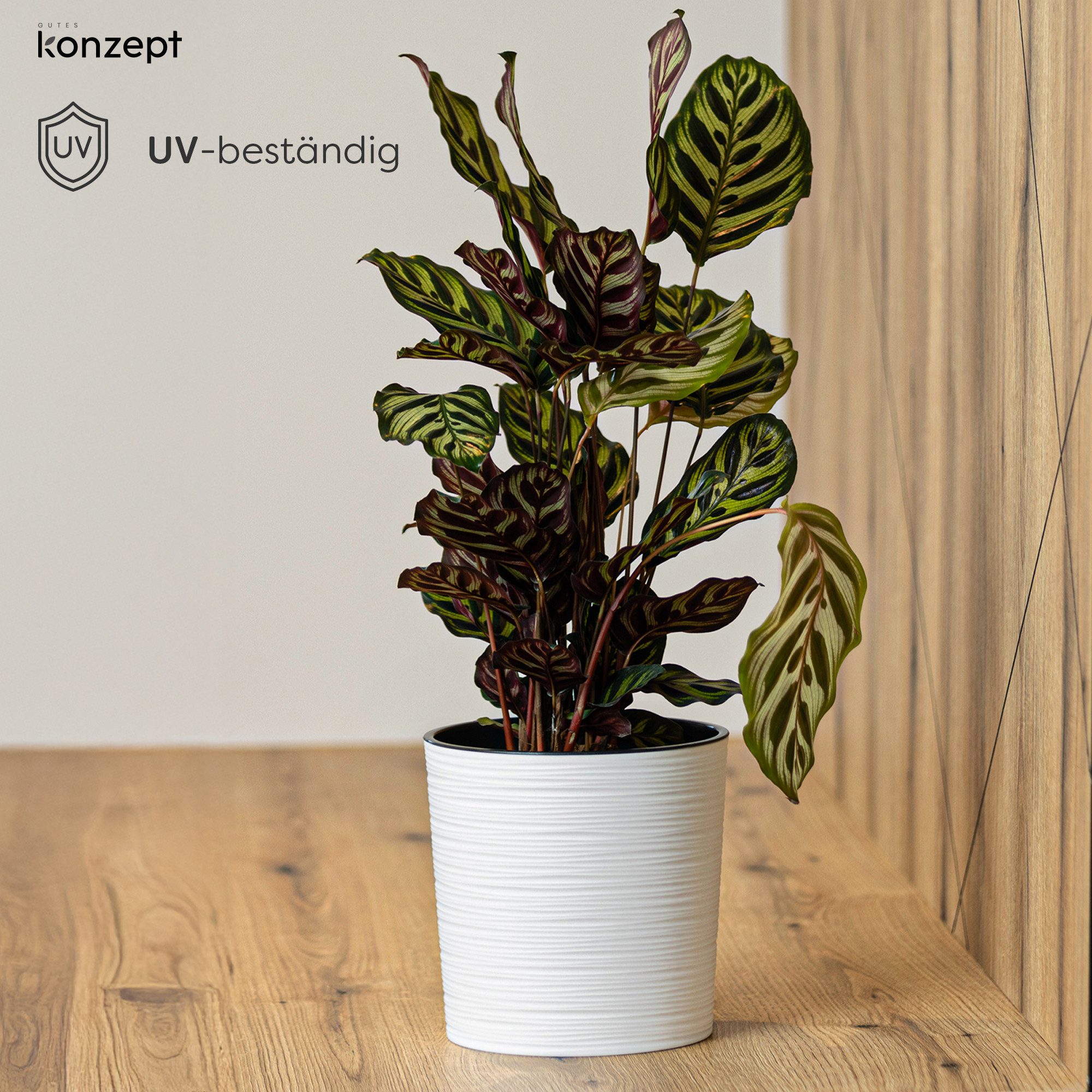 KONZEPT Blumentopf Pflanztopf Groß Innen, 30cm Meißelspuren-Design, Mit Inneneinsatz (1 St), ideal für den Innenbereich – Bild 4 von 5