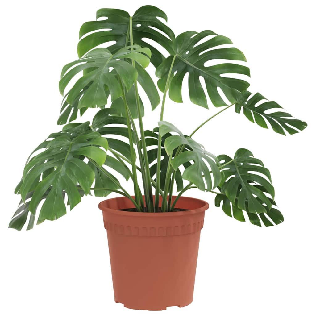 furnicato Blumentopf 24er Set 17 x 14 cm Ziegelrot, Blumenkübel mit Entwässerungslöchern am Boden für deinen Garten
