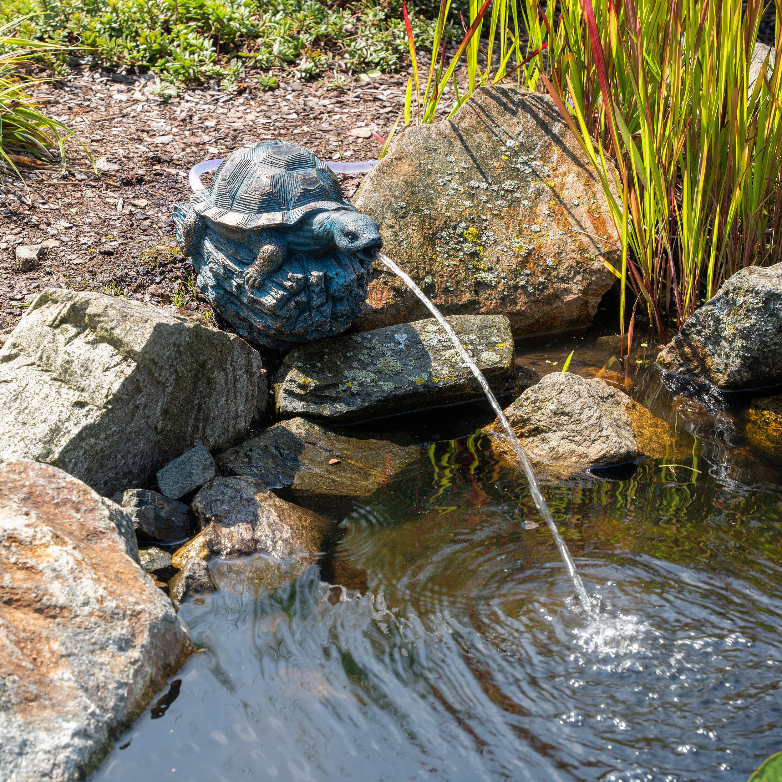 esotec Wasserspeier Solar Teichfigur Komplettset Schildröte Marlis H=18cm Polyresin 101680