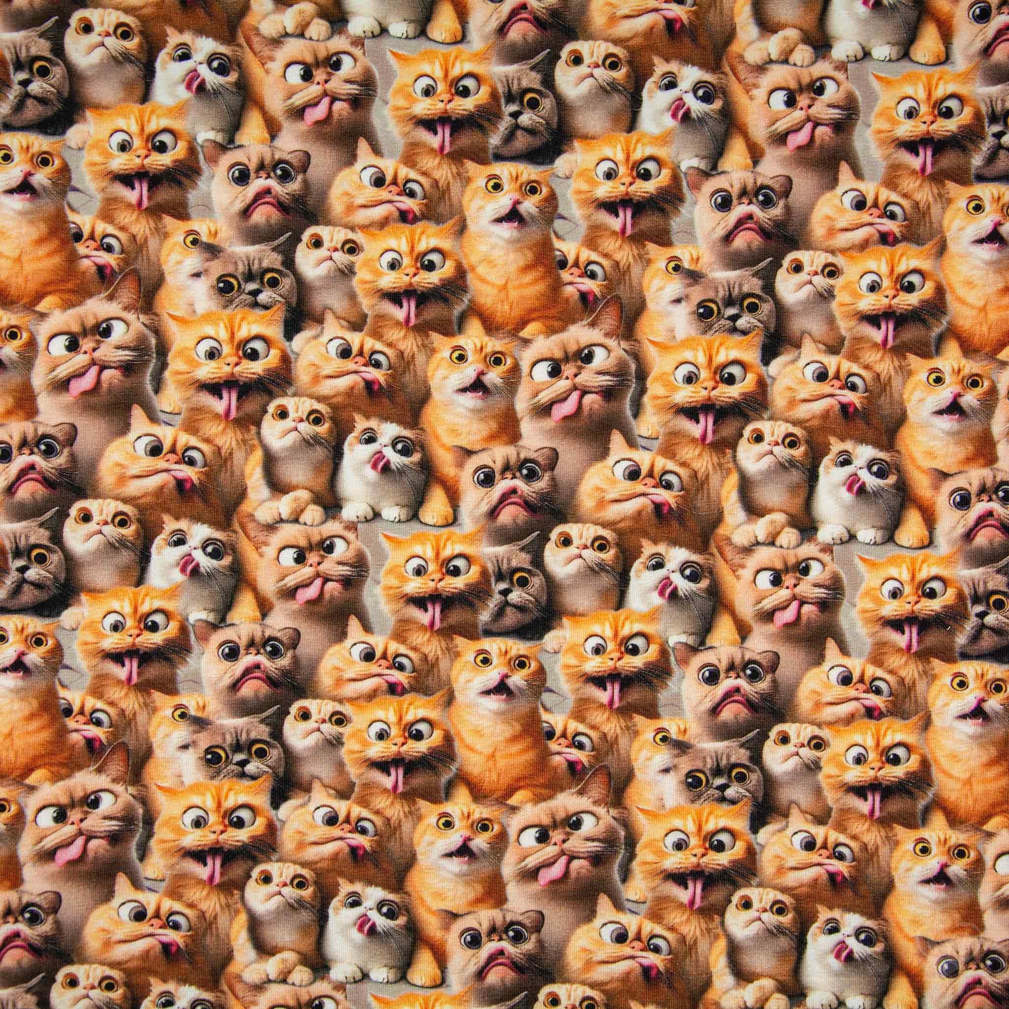 maDDma Stoff Baumwolljersey Funny Cats Print Kinderstoff Meterware 150cm breit