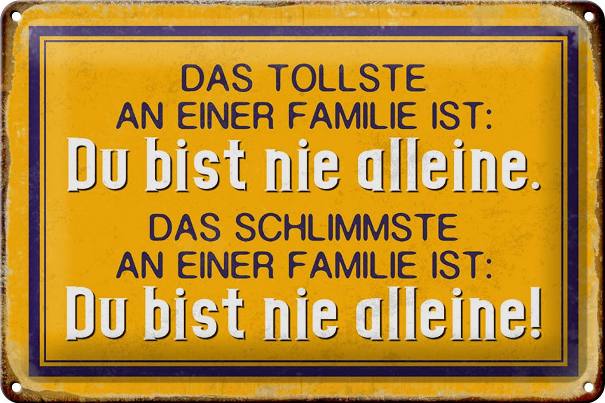Metallschild Spruch 30x20cm das tollste an einer Familie ist