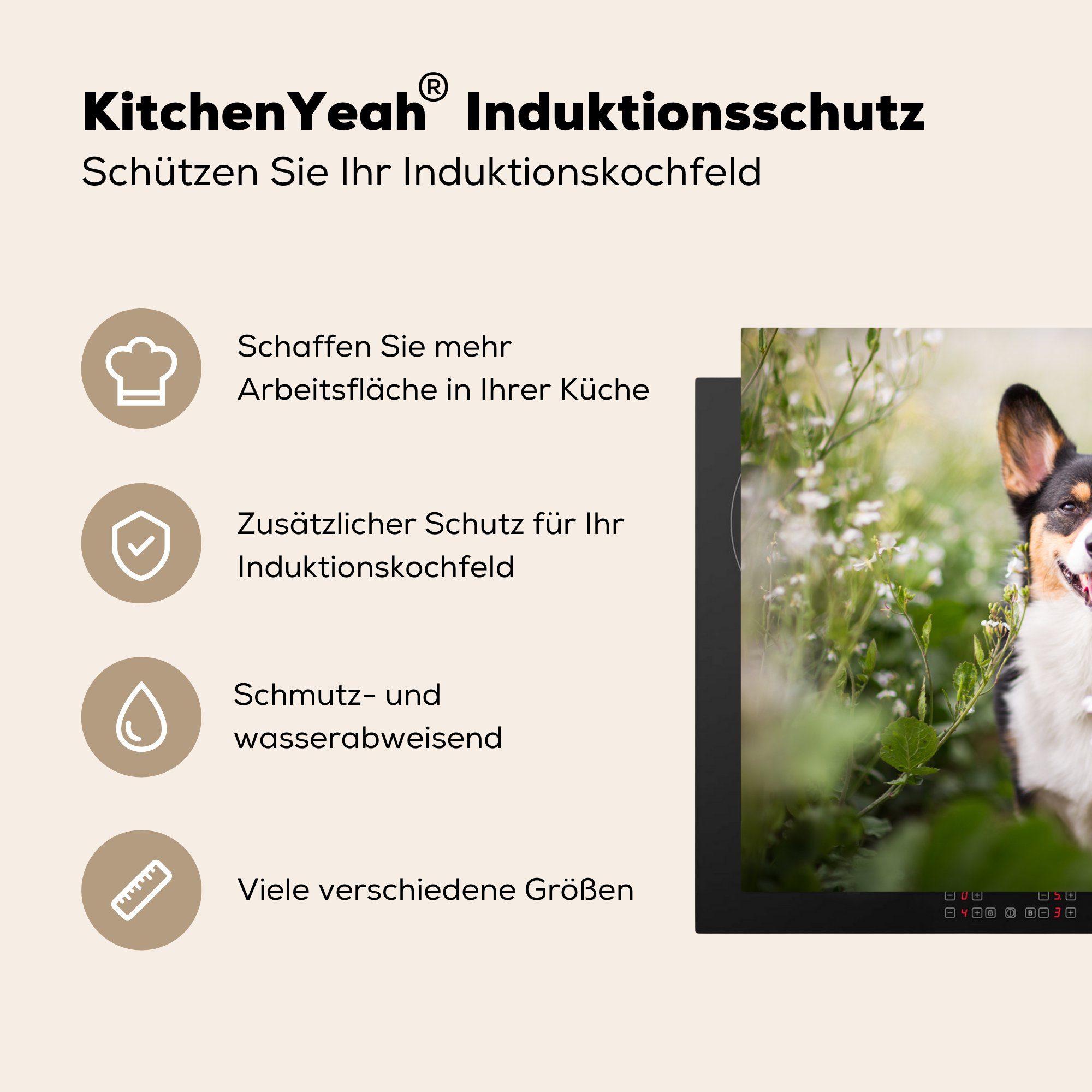 cm, Induktionskochfeld Schutz küche, 81x52 Hund tlg), - Blumen Ceranfeldabdeckung - die für Corgi, Herdblende-/Abdeckplatte (1 MuchoWow Vinyl,