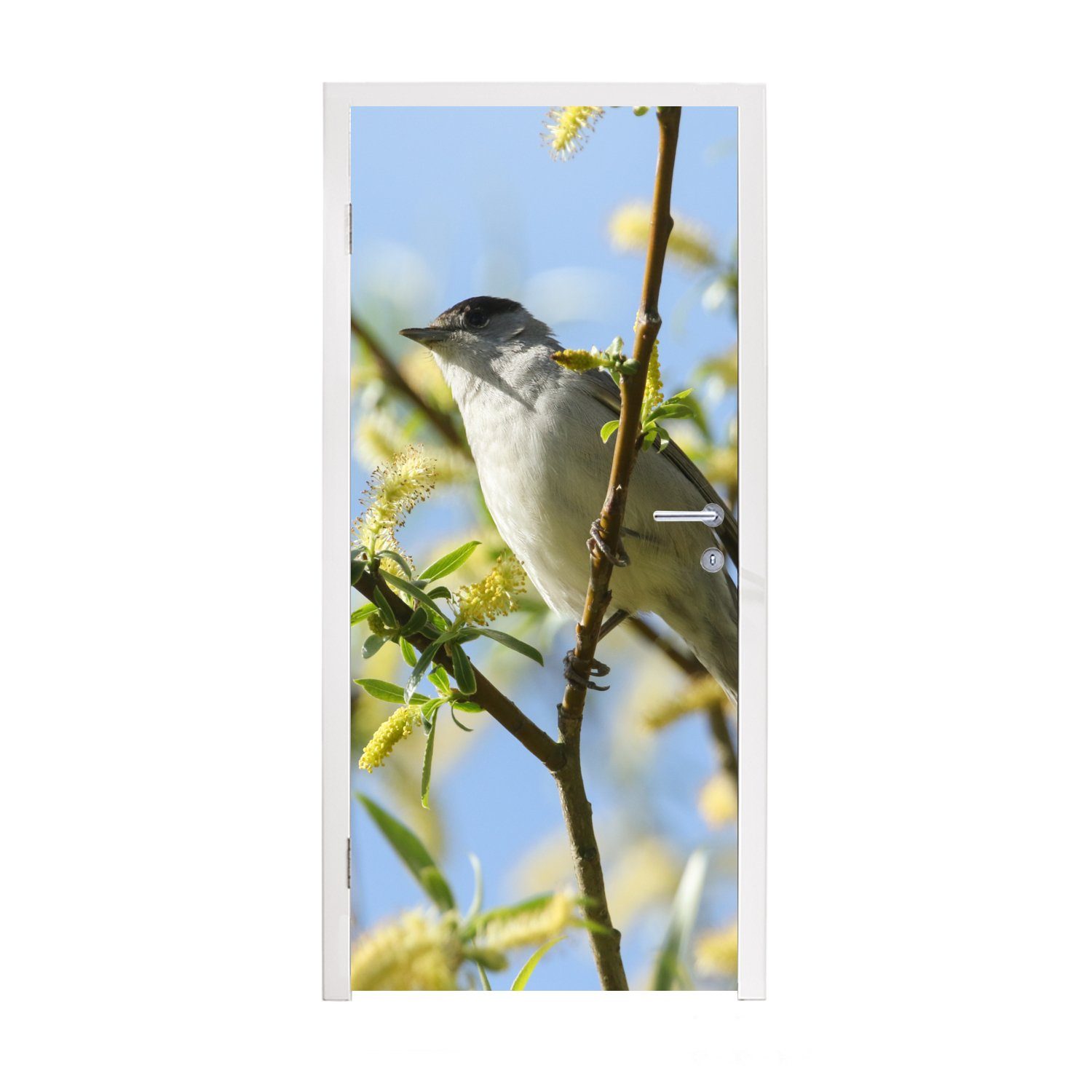 MuchoWow Türtapete Vogel im Baum, Matt, Tür, bedruckt, (1 Fototapete für 75x205 Türaufkleber, St), cm