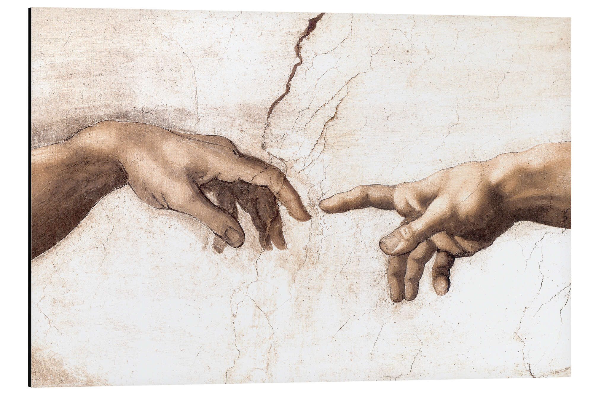 Posterlounge Wandbild Die Erschaffung Adams (Detail), günstig online kaufen