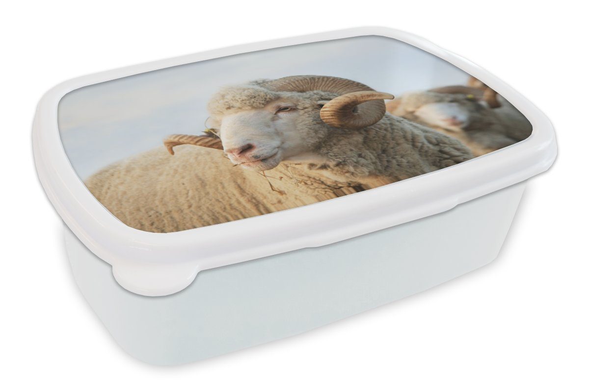Lunchbox Brotbox für und weiß MuchoWow Widder Hörner, - Kinder Schafe Kunststoff, (2-tlg), Brotdose, Jungs Mädchen Erwachsene, und - für