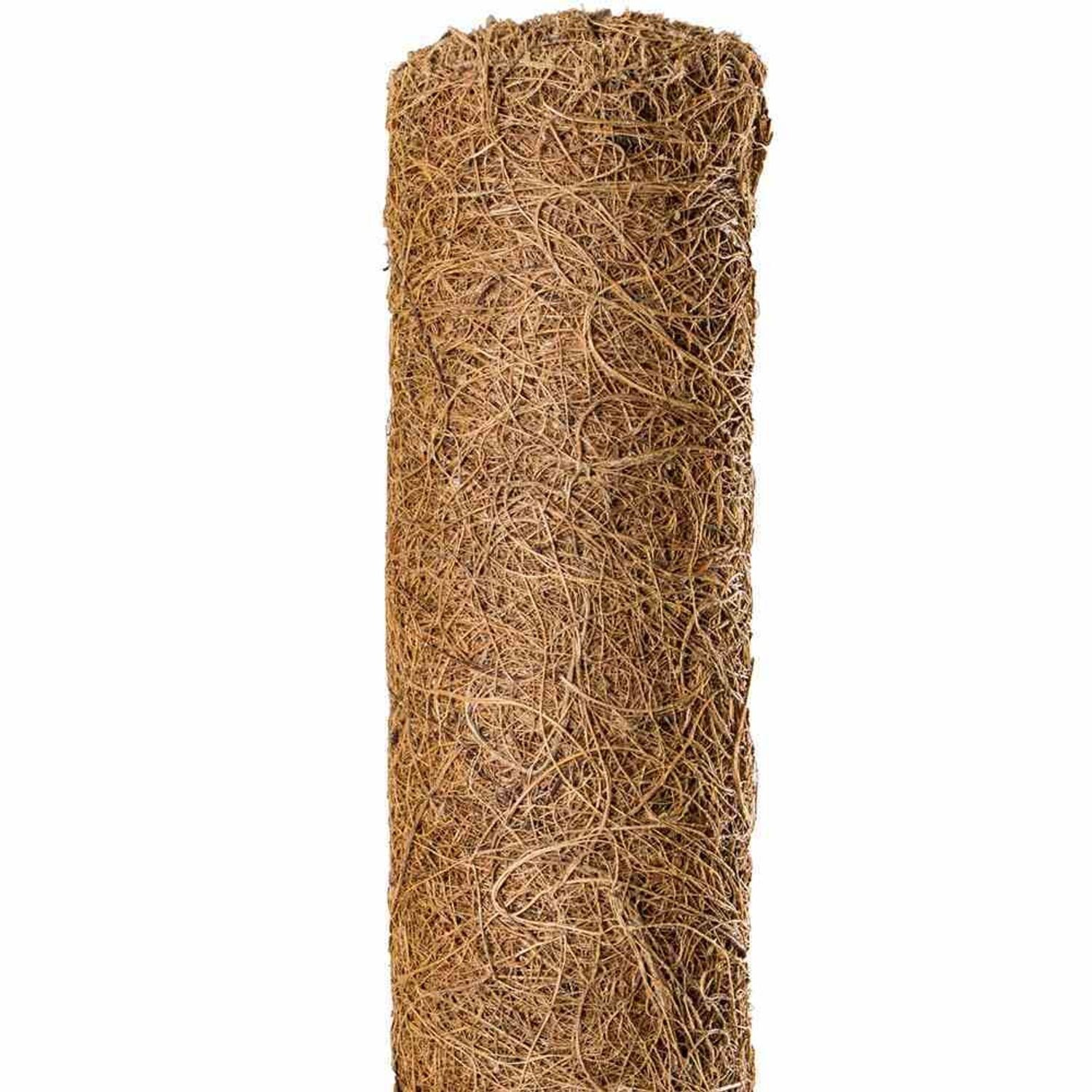 Siena Garden Rankhilfe Kokos-Rankstäbe 110 cm günstig online kaufen