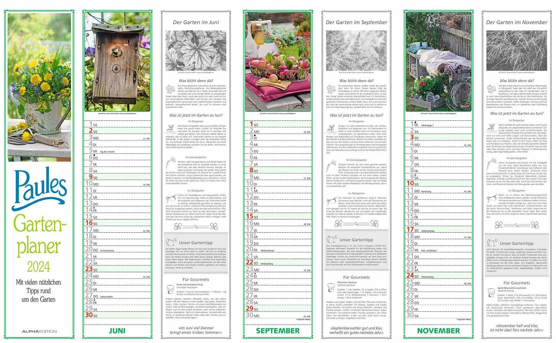 Alpha Edition Wandkalender Streifenkalender Paules Gartenplaner - 1 Monat / 1 Seite 113 x 495 cm