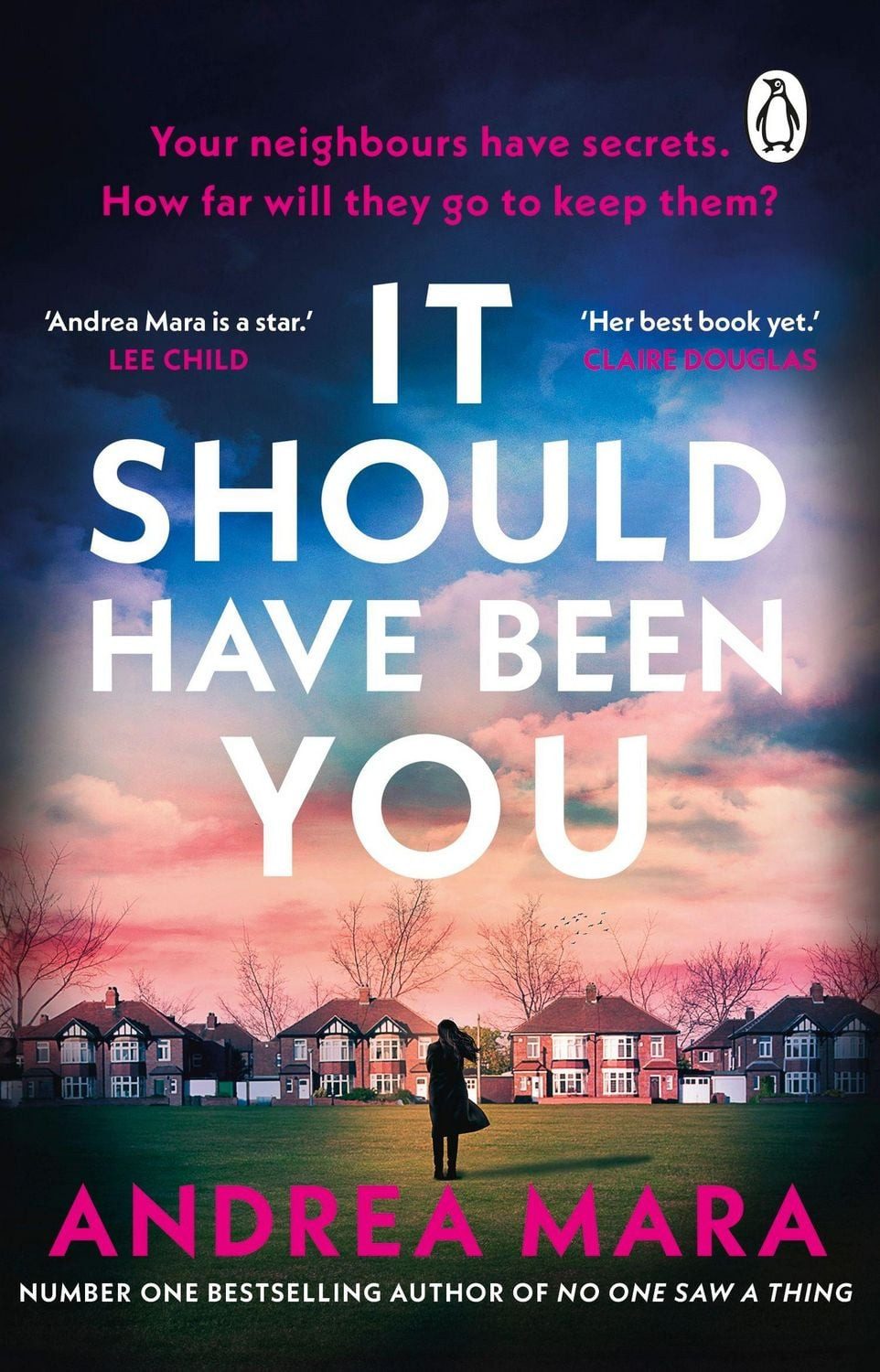 It Should Have Been You / Andrea Mara