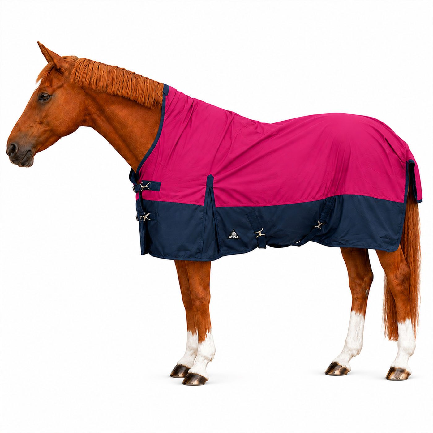 Brama-West Pferde-Thermodecke Winterdecke Caruso Turnout 1680D 100GSM - Raspberry/Navy